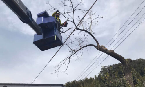 LINE_ALBUM_木下邸・緒方邸　菊池市泗水町_220411_20